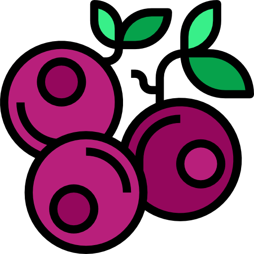 Blueberries icon