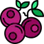 Blueberries Symbol 64x64
