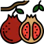 Pomegranate Symbol 64x64