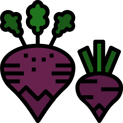 Beet icon