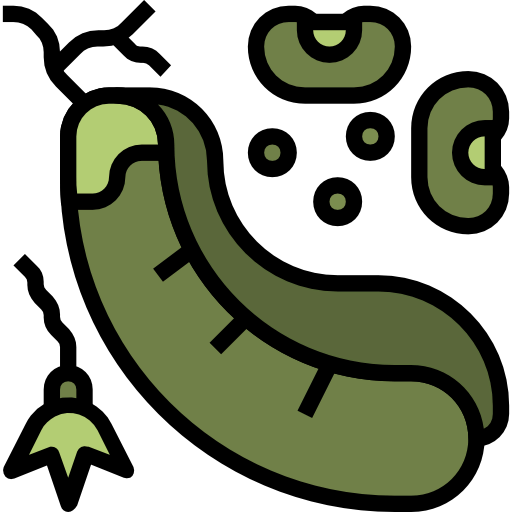 Beans icon