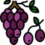 Grapes Symbol 64x64