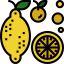 Lemon Symbol 64x64