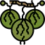Gooseberry Symbol 64x64