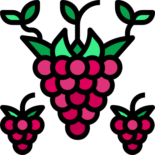 Raspberry Symbol