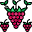 Raspberry Symbol 64x64