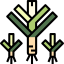 Leek Symbol 64x64
