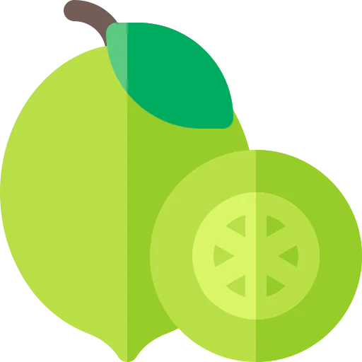 Lime icon