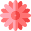 Dalia 图标 64x64