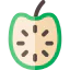 Guanabana 图标 64x64