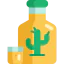 Tequila 图标 64x64