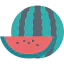 Watermelon icon 64x64