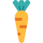 Carrot icon 64x64