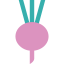 Turnip icon 64x64