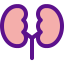 Kidneys Symbol 64x64