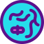 Хромосома иконка 64x64