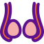Ovaries Symbol 64x64