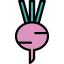 Turnip icon 64x64