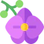Flower icon 64x64