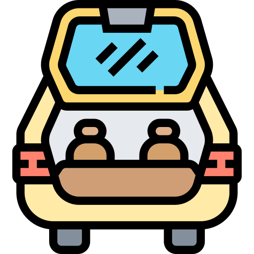Trunk icon