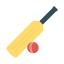 Cricket icon 64x64