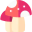 Mushrooms icon 64x64