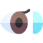 Eye lens ícono 64x64