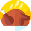 Turkey icon 64x64