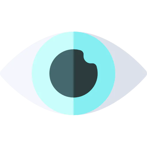 Vision icon