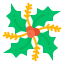 Mistletoe icon 64x64