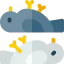 Dead bird 图标 64x64