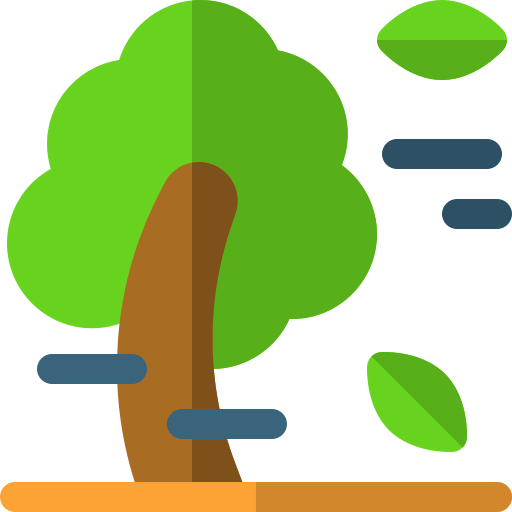Windy icon