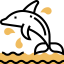 Dolphin アイコン 64x64