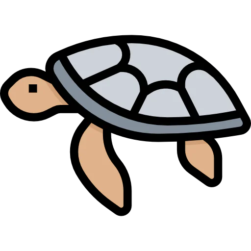 Turtle icon