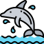 Dolphin 图标 64x64