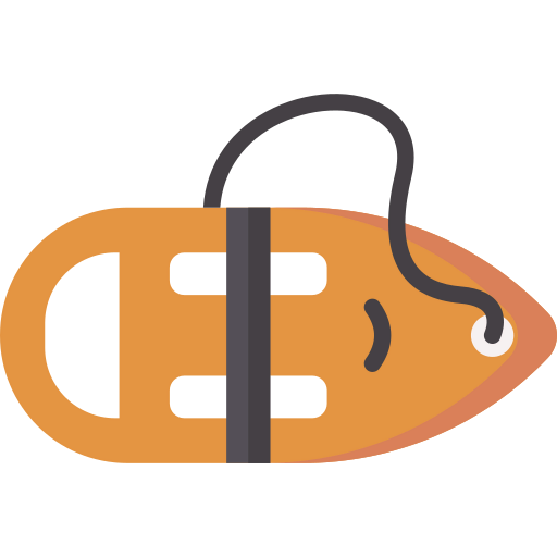 Rescue buoy icon