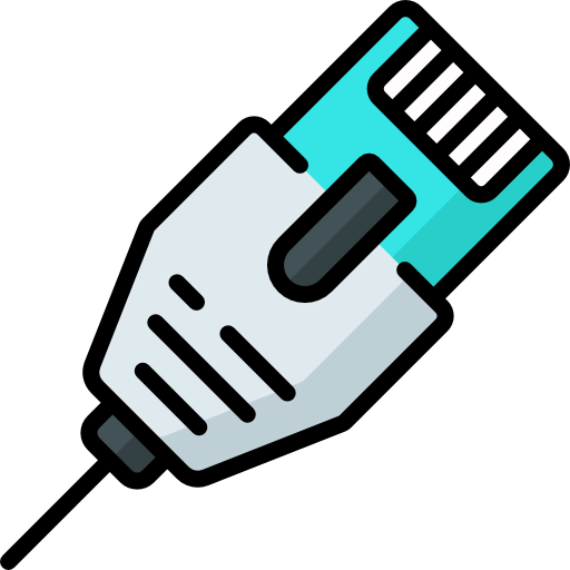 Lan icon