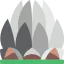 Lotus temple アイコン 64x64