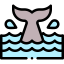 Whale icon 64x64