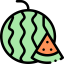 Watermelon icon 64x64