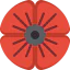 Poppy icon 64x64