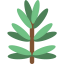 Rosemary icon 64x64