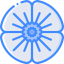 Poppy icon 64x64