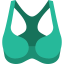 Brassiere icon 64x64