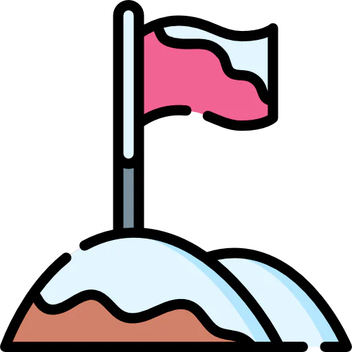 Flag icon