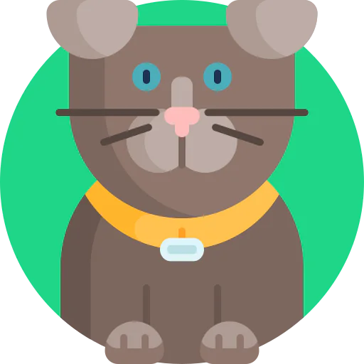Scottish fold cat Symbol