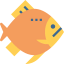 Fish icon 64x64