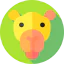 Camel icon 64x64