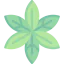 Leaves іконка 64x64