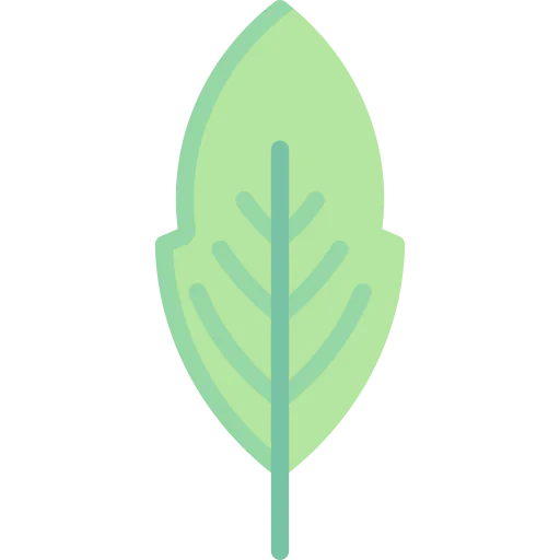 Leaf Symbol